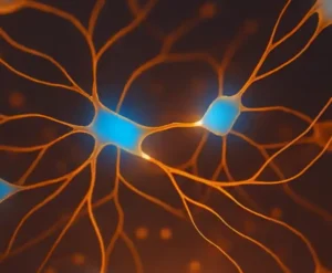 Axon